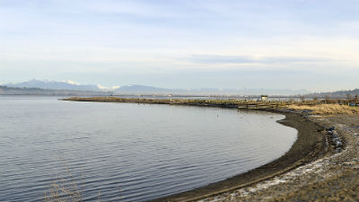 Condos & Houses for Sale and Real Estate Listings Crescent Beach, BC